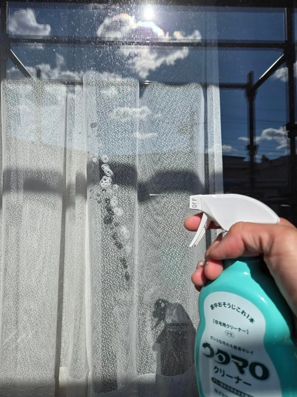 窓清掃