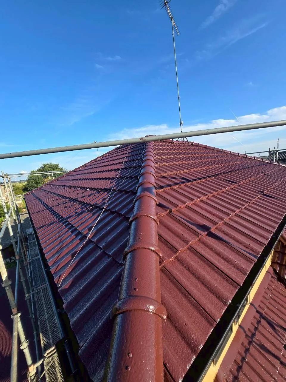 屋根塗装完了(全体)